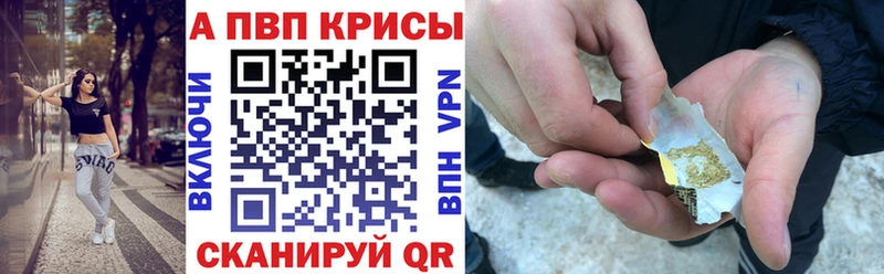 A PVP СК КРИС  Староминская 
