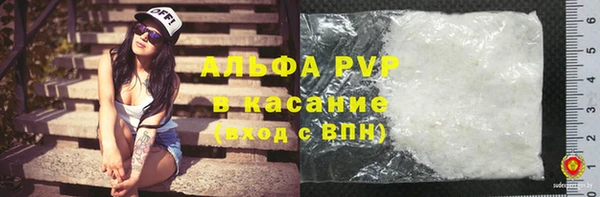 индика Переславль-Залесский