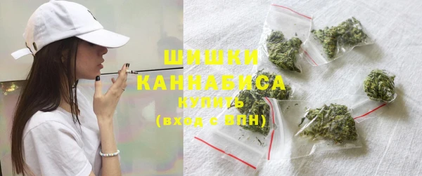 индика Переславль-Залесский