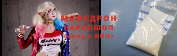 индика Переславль-Залесский