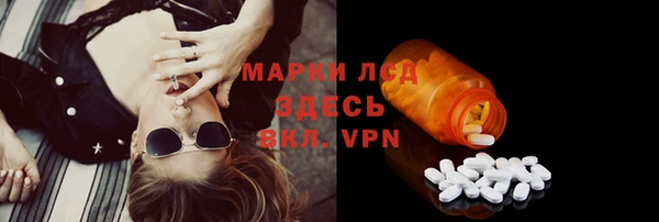 сатива Пестово