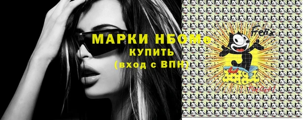 индика Переславль-Залесский