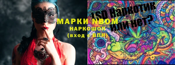 сатива Пестово