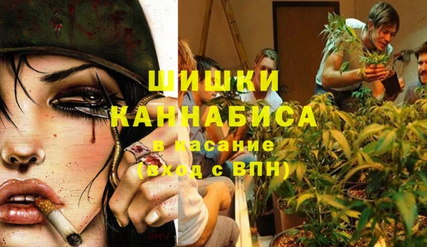 сатива Пестово