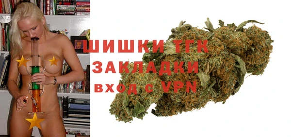 индика Переславль-Залесский