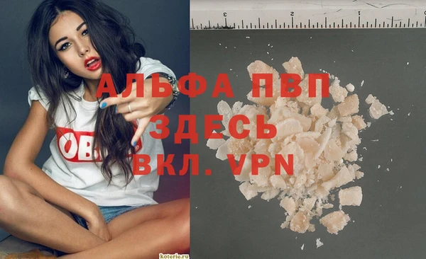 индика Переславль-Залесский